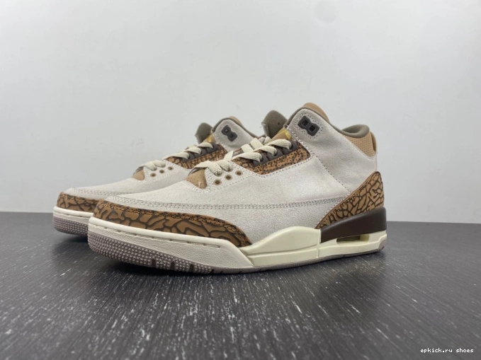 CT8532-102 Palomino Jordan Air 3 0821